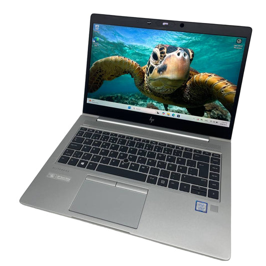 Ноутбук HP с изображением черепахи на белом фоне.