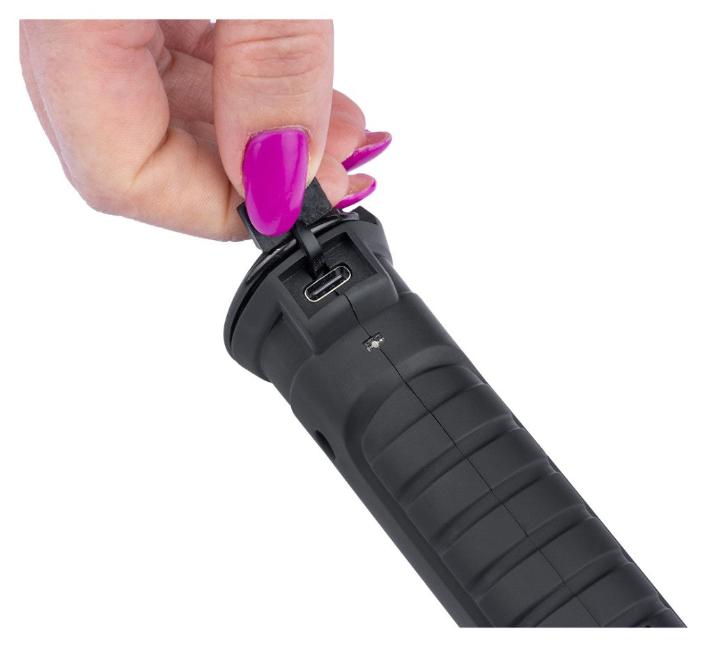04-04-01 FW-110 flashlight
