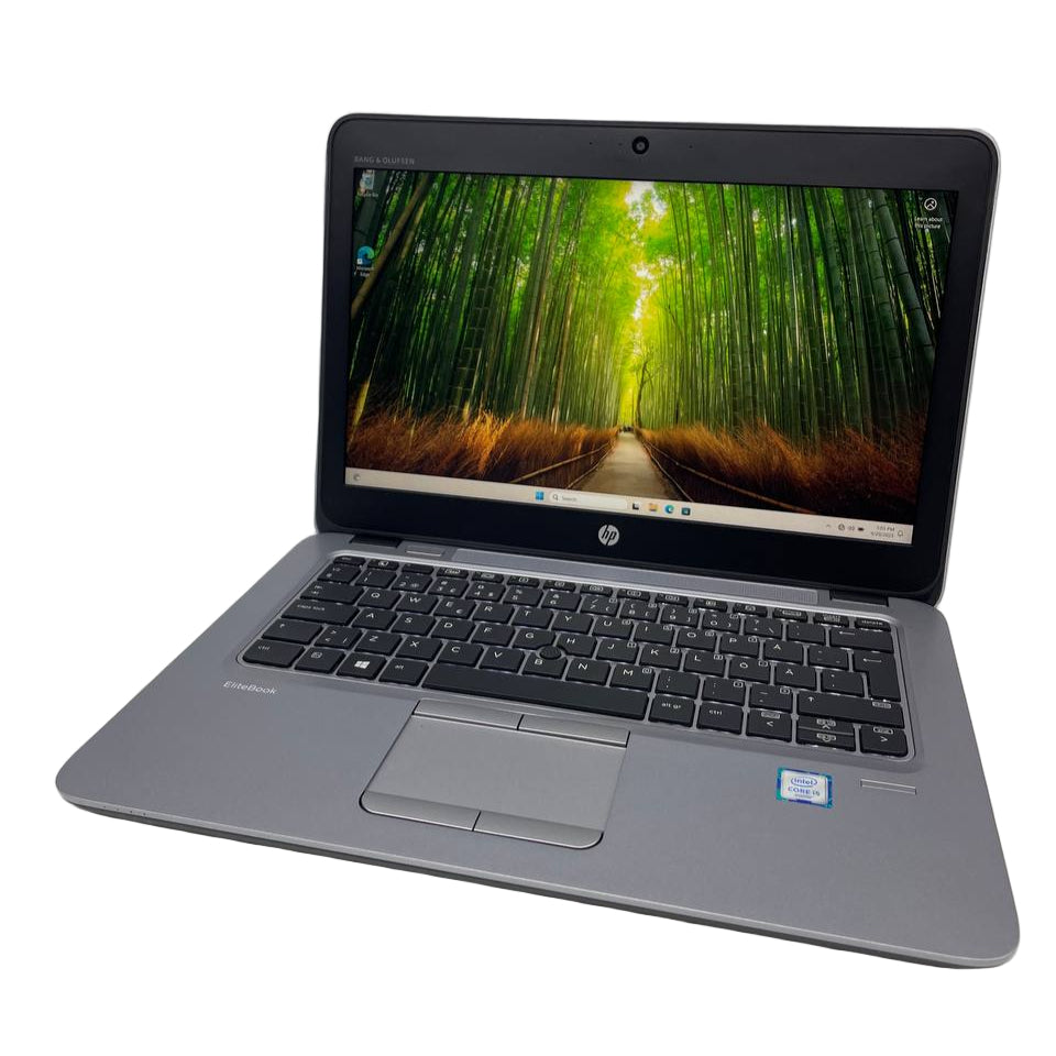 Laptop with a bamboo forest display on a white background